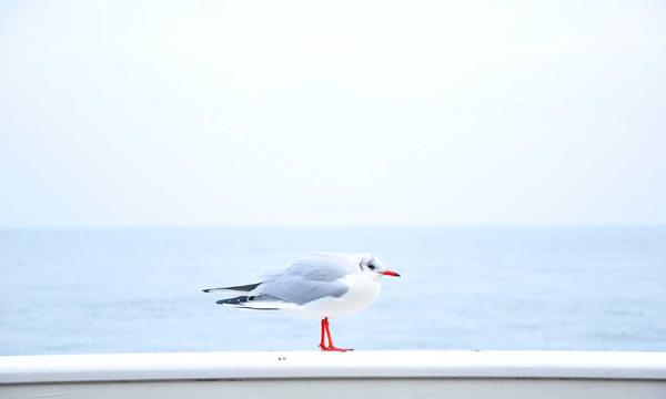 体育趣闻